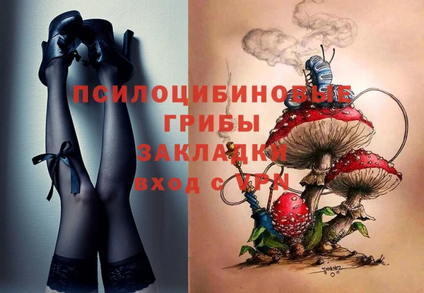 эйфоретик Михайлов
