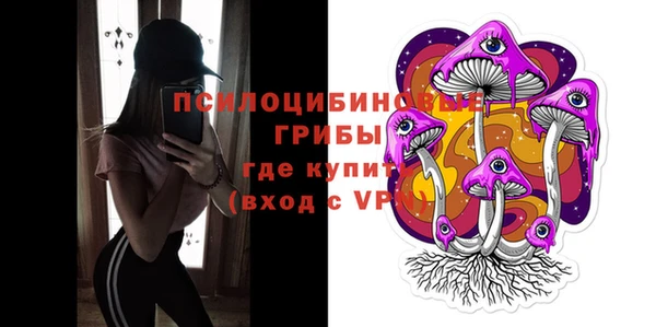 мдма Медвежьегорск